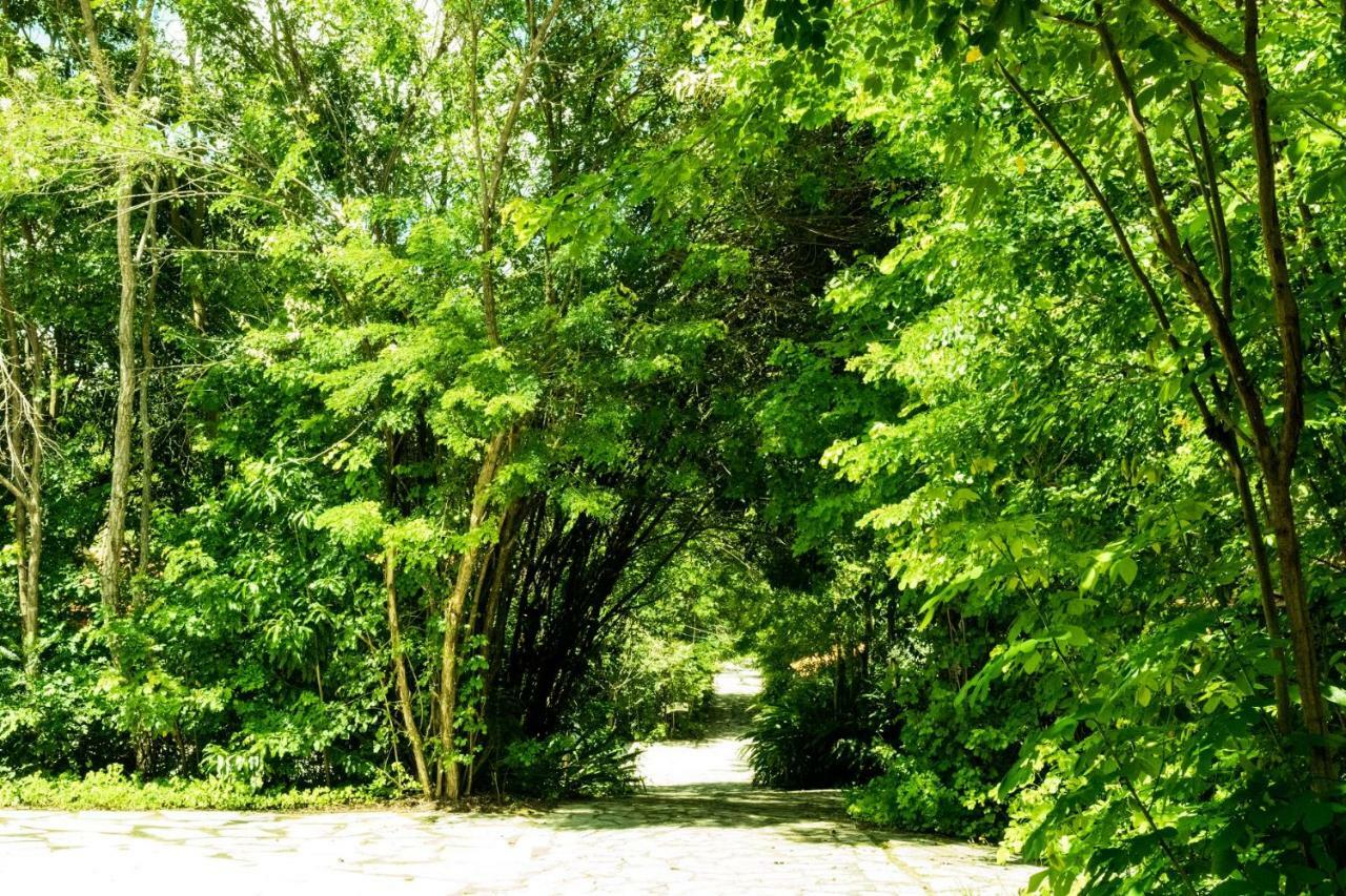 Pousada Villa Das Pedras 피라노폴리스 외부 사진